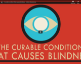 TED Ed - A curable condition that causes blindness - Andrew Bastawrous