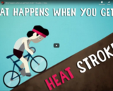 TED Ed - What happens when you get heat stroke? - Douglas J. Casa