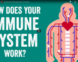 TED Ed - How does your immune system work? - Emma Bryce