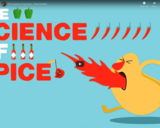 TED Ed - The science of spiciness - Rose Eveleth