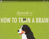 How to Train a Brain - Crash Course Psychology #11