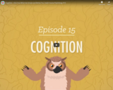 Cognition: How Your Mind Can Amaze and Betray You - Crash Course Psychology #15