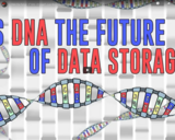 TED Ed - Is DNA the future of data storage? - Leo Bear-McGuinness