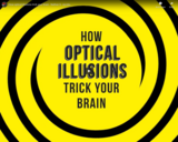 TED Ed - How optical illusions trick your brain - Nathan S. Jacobs