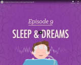 To Sleep, Perchance to Dream - Crash Course Psychology #9