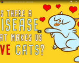 TED Ed - Is there a disease that makes us love cats? - Jaap de Roode