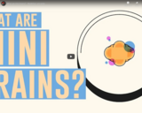 TED Ed - What are mini brains? - Madeline Lancaster