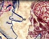 TED Ed - What if we could look inside human brains? - Moran Cerf