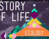 The History of Life on Earth - Crash Course Ecology #1