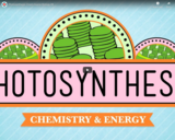 Photosynthesis: Crash Course Biology #8