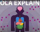 The Ebola Virus Explained - How Your Body Fights For Survival