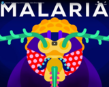 Genetic Engineering and Diseases - Gene Drive & Malaria