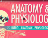 Introduction to Anatomy & Physiology: Crash Course A&P #1