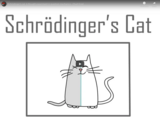 TED Ed - SchrÃƒÂ¶dinger's cat: A thought experiment in quantum mechanics - Chad Orzel