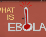 TED Ed - What we know (and don't know) about Ebola - Alex Gendler