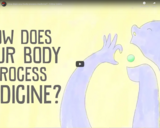 TED Ed - How does your body process medicine? - CÃƒÂ©line ValÃƒÂ©ry