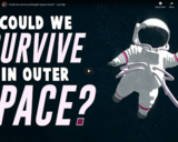 TED Ed - Could we survive prolonged space travel? - Lisa Nip