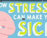 TED Ed - How stress affects your body - Sharon Horesh Bergquist