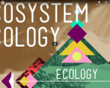 Ecosystem Ecology: Links in the Chain - Crash Course Ecology #7