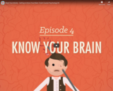 Meet Your Master: Getting to Know Your Brain - Crash Course Psychology #4