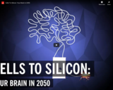 WSF - Cells To Silicon: Your Brain In 2050