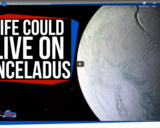 SciShow Space -It's Official: Life Could Survive on Enceladus