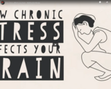 TED Ed - How stress affects your brain - Madhumita Murgia