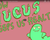 TED Ed - How mucus keeps us healthy - Katharina Ribbeck