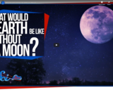 SciShow Space -What Would Earth Be Like Without a Moon?