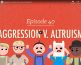 Aggression V. Altruism: Crash Course Psychology #40