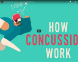 TED Ed - What happens when you have a concussion? - Clifford Robbins