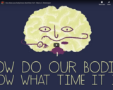 TED Ed - How does your body know what time it is? - Marco A. Sotomayor