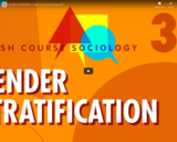 Gender Stratification: Crash Course Sociology #32