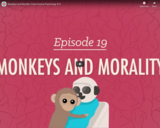 Monkeys and Morality: Crash Course Psychology #19