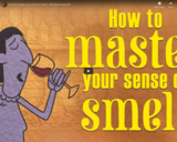 TED Ed - How to master your sense of smell - Alexandra Horowitz