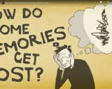 TED Ed - How memories form and how we lose them - Catharine Young