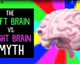 TED Ed - The left brain vs. right brain myth - Elizabeth Waters