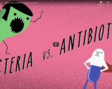 TED Ed - What causes antibiotic resistance? - Kevin Wu