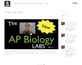 AP Bio Labs - Part 1