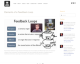 Elements of a Feedback Loop
