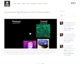 Evolution of Cell Communication