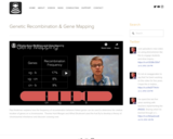 Genetic Recombination & Gene Mapping