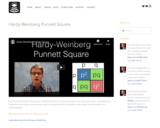 Hardy-Weinberg Punnett Square