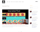 Interstitial Fluid