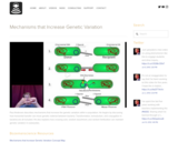 Mechanisms Increasing Genetic Variation