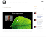 Photosynthesis