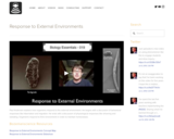 Response to External Environments