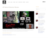 Review - Natural Selection