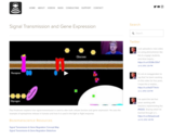 Signal Transmission & Gene Expression