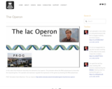 The Operon